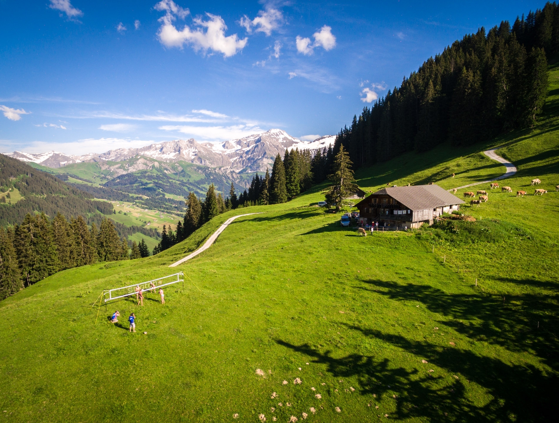 The Hills Are Alive With The Sound Of Beach Volleyball